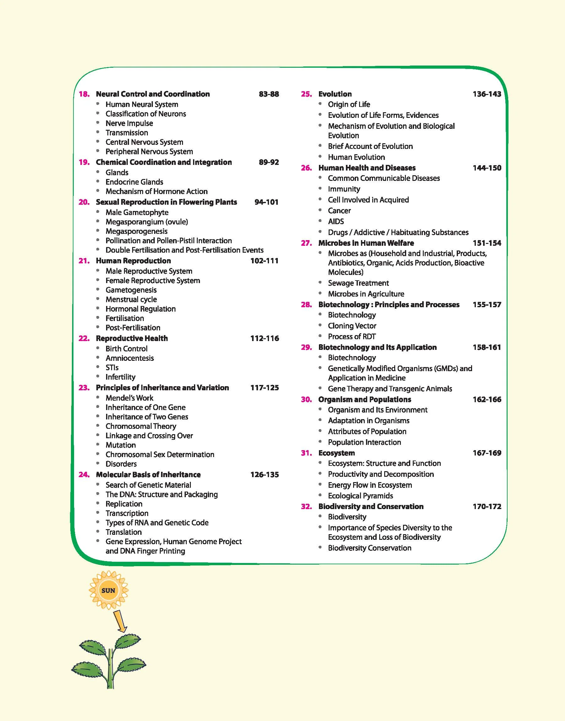 Biology Concept Map Toolkit | Visual Concept Maps for Faster Learning & Retention | Useful for Board Exams, NEET, JEE & Other Competitions - Image 4